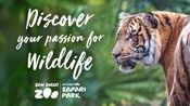 Zoo-175.jpg