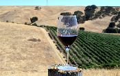 Three Steves Winery.jpg